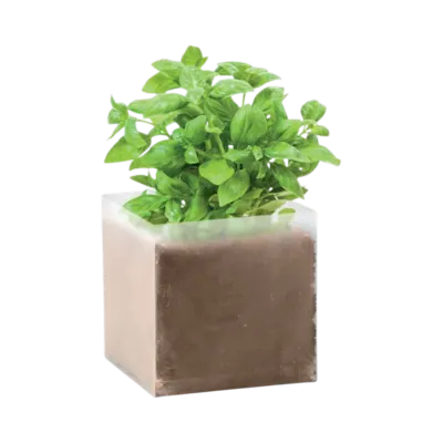 Basil Compost with Seeds