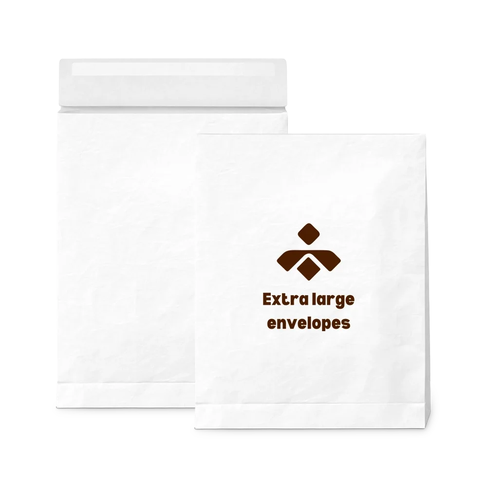 extra large envelopes