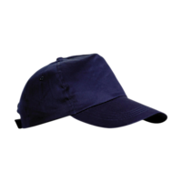 Bleu marine