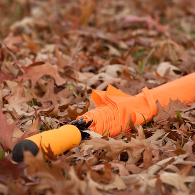 coloradoumbrellaPDP Copy