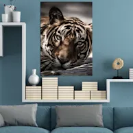 70 x 100 cm