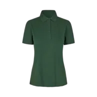 Verde bottiglia