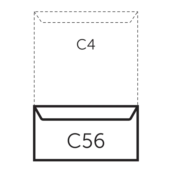 Buste C56