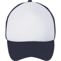 White French Navy