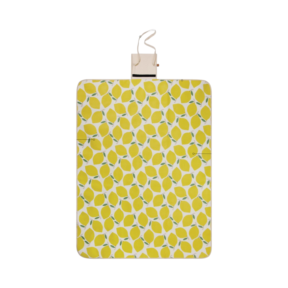 PDP - vingaarwegrspicnicblanket square #00000000 background