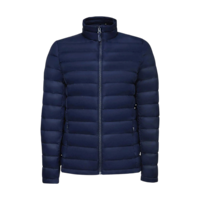 Bleu marine