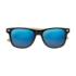 ICON - californiatouchsunglasseswithbambooarms blue