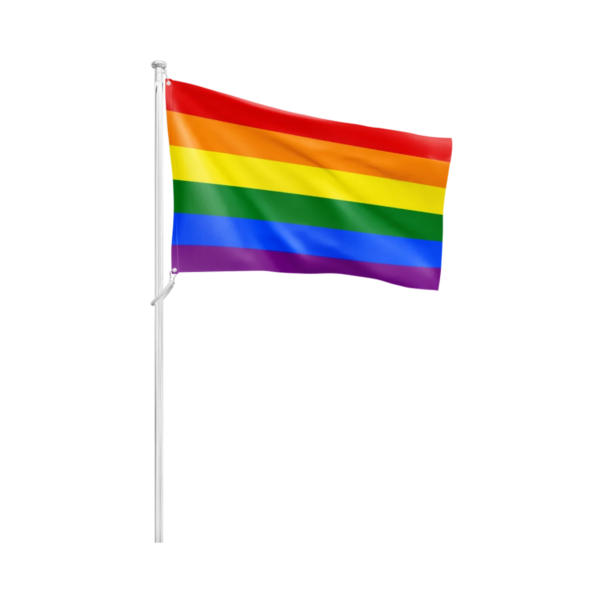 Pride Flag main image