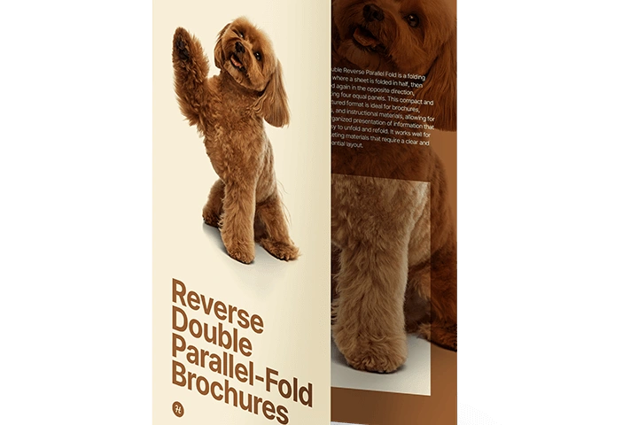 reverse double parallel fold US