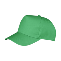 bostonprinterscap apple green