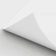 Standard White