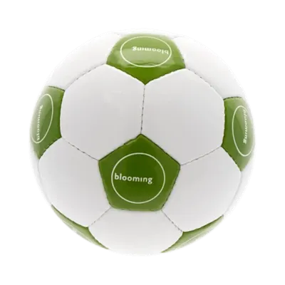 Promotional Football
