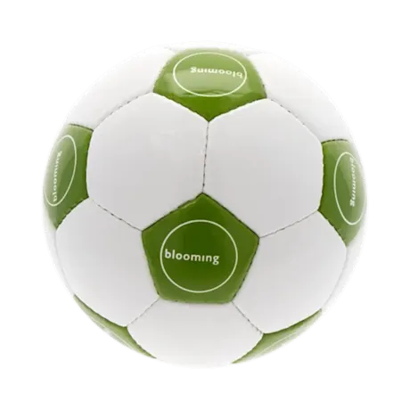Promotional Football