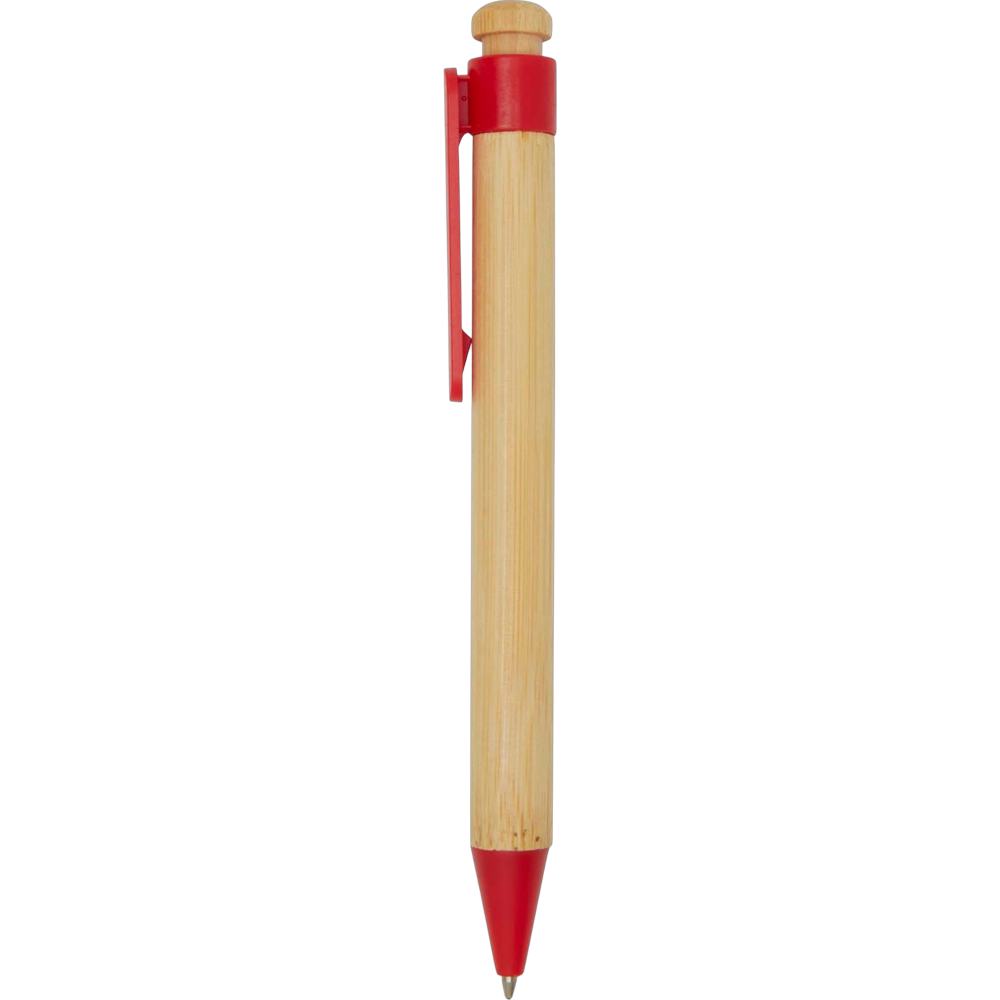 cactus rainstick Rainstick main image 0