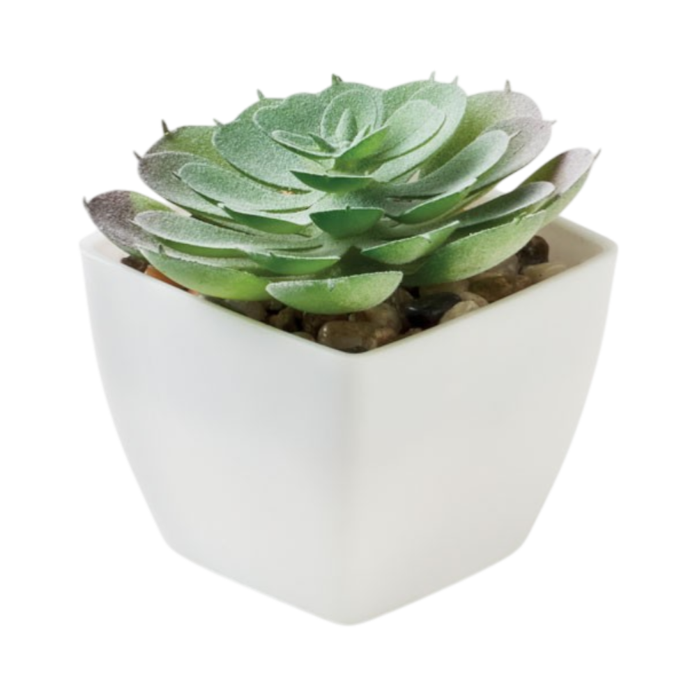 PDP - artiecheminiartificialplant square #00000000 background