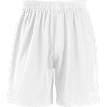 solssansirokids.color.white - solssansirokids_white