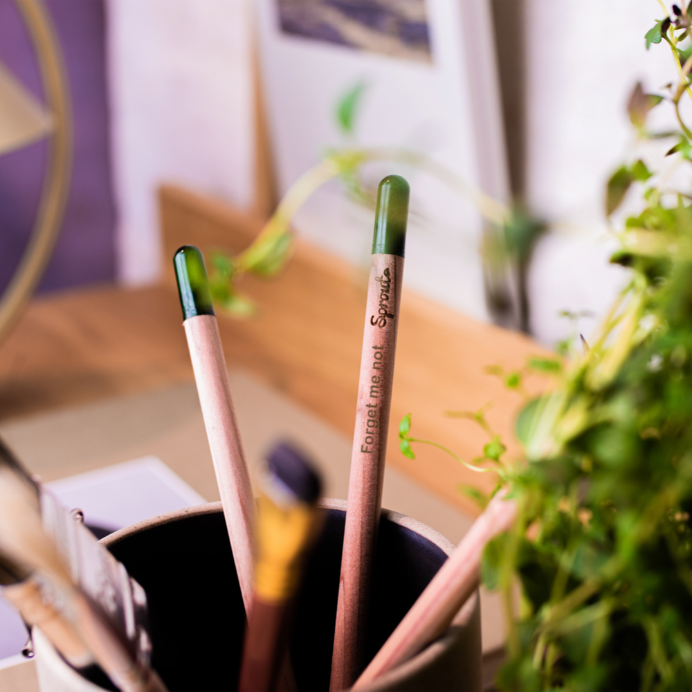 sproutworldsharpenedpencil PDP Copy 2