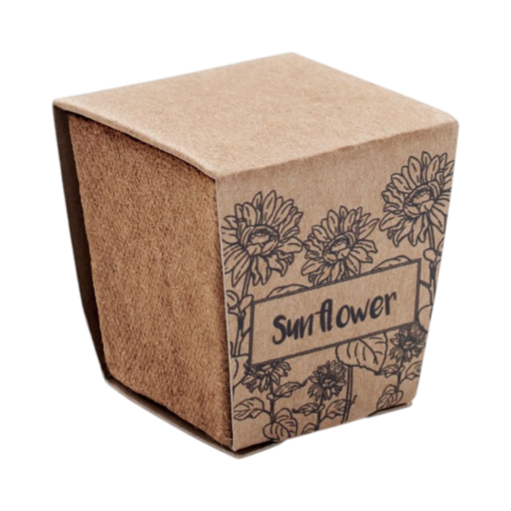 PDP - sunflowerkitsunflowergrowingkit square #00000000 background