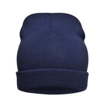 Attribute - Color - Navy (knittedpromotionbeanie.color.navy)