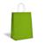 apple green Kraft bags color big icons