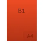 B 1