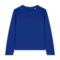 Bleu de travail