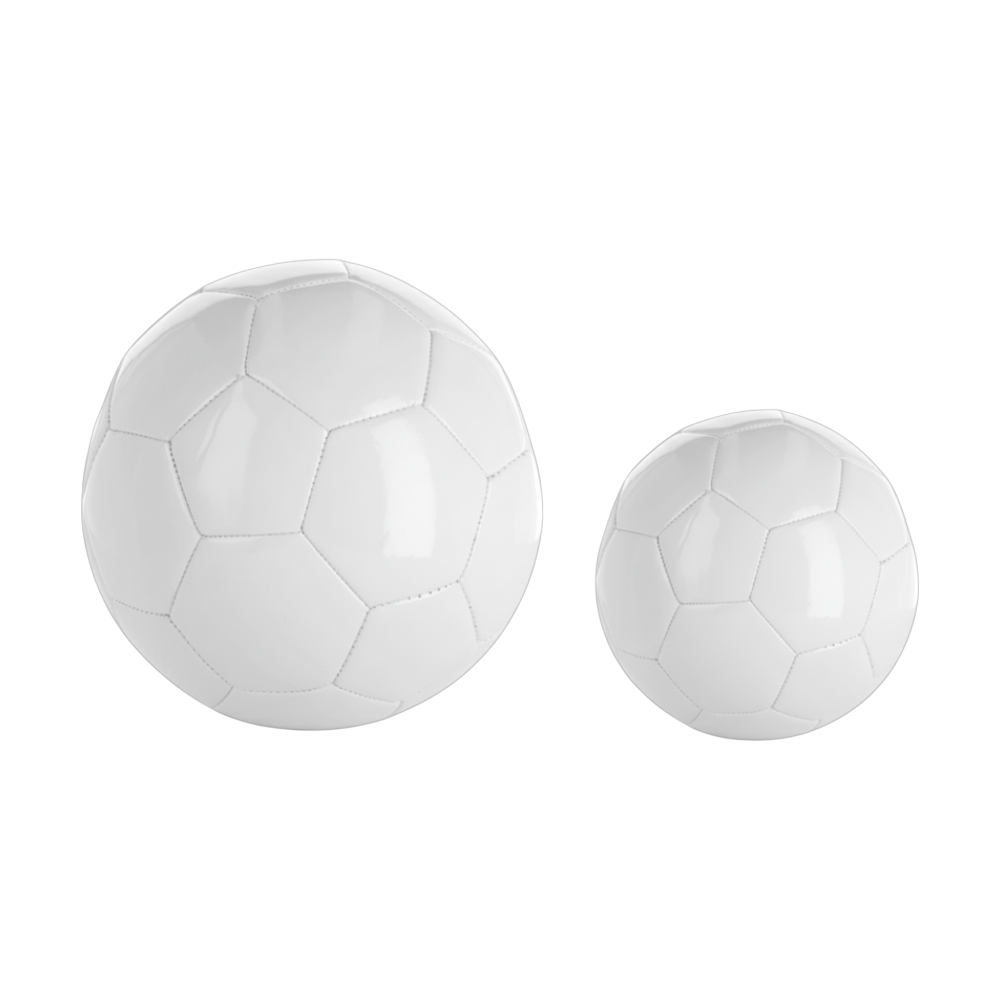 Ballon de Football Blanc