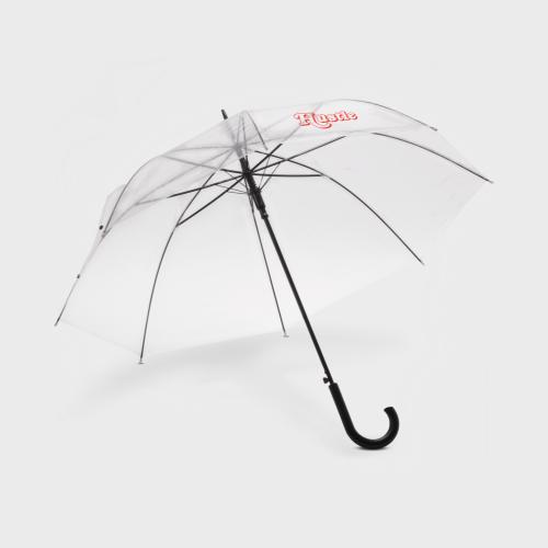 transparent umbrella 