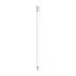 bicevolutionecolutionseraserpencil white