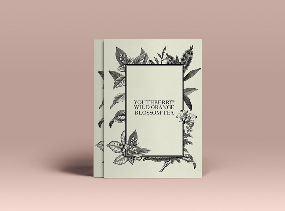 Traditional-Meets-Digital