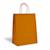 Orange Kraft bags color big icons