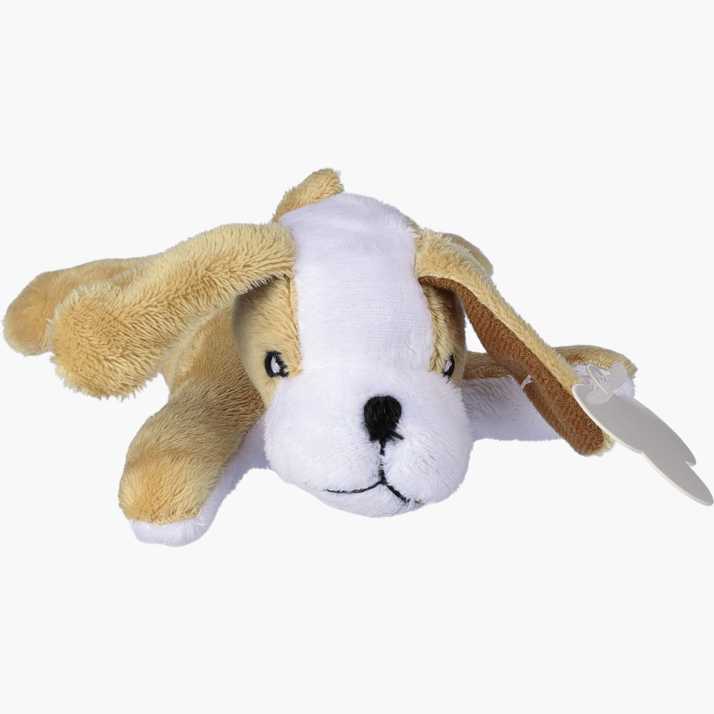 PDP - plushdogfinnian square #F8F8F8 background