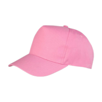 ICON - bostonprinterscap pink