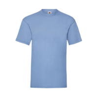 Budget Unisex Classic Fit Round Neck T-shirt ICON sky blue