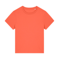 ICON - stanleystellatheiconicwomenstshirt fiesta