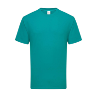 ICON - fruitoftheloomiconic195t ocean_teal