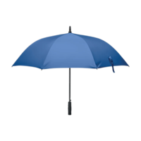 Bleu royal