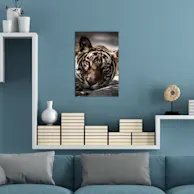 40 x 60 cm