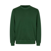 Vert bouteille