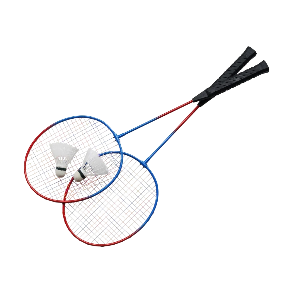 ICON - metalbadmintonsetwendy custom_multicolor