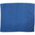 ICON - gogorallytowel blue