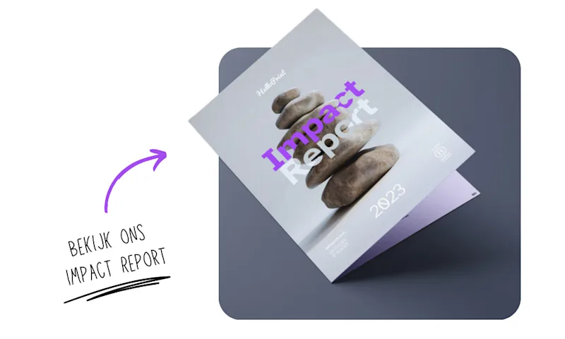 Impact Report EN