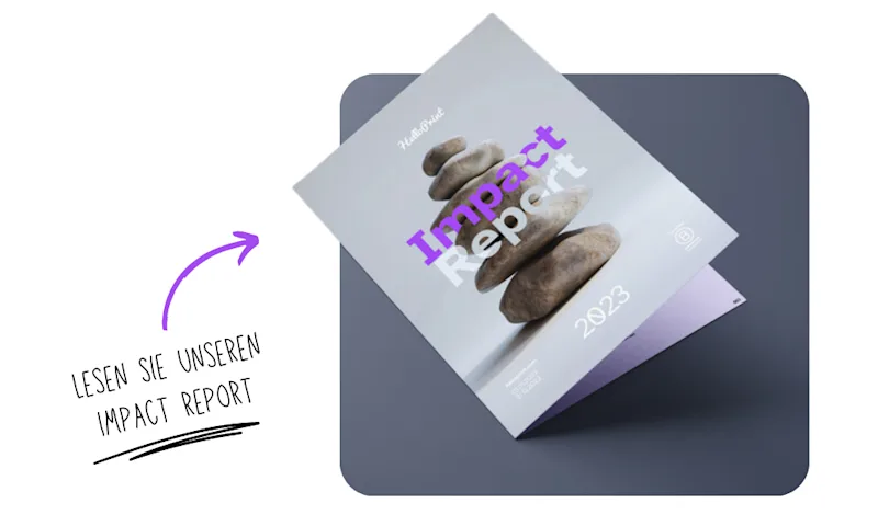 Impact Report (1)