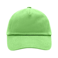 58. 5panelkidscap Lime
