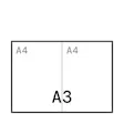 A3