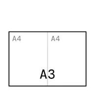 A3