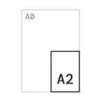 A2