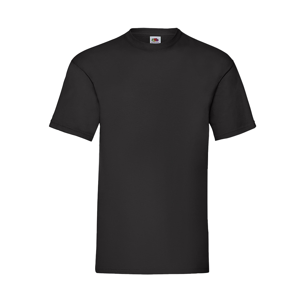 Budget Unisex Classic Fit Round Neck T-shirt ICON black