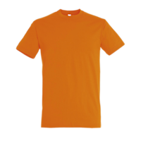 Budget Round Neck T-Shirt Regent ICON orange