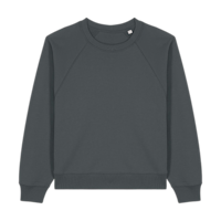ICON - stanleystellathewomensraglansweatshirt anthracite